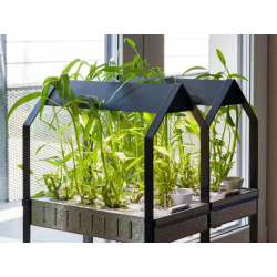 Potager hydroponique intérieur