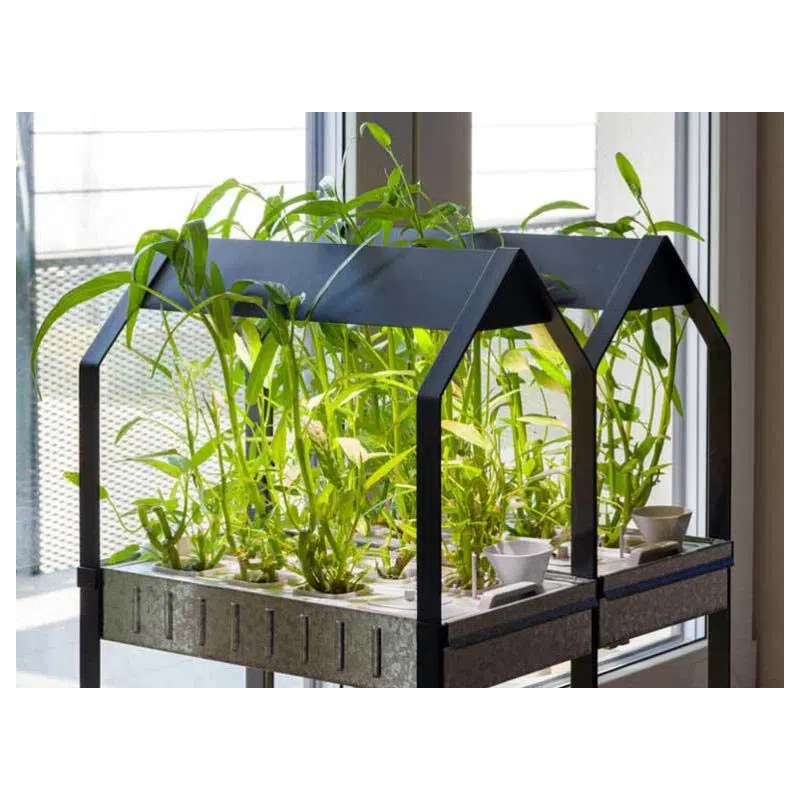 Potager hydroponique intérieur