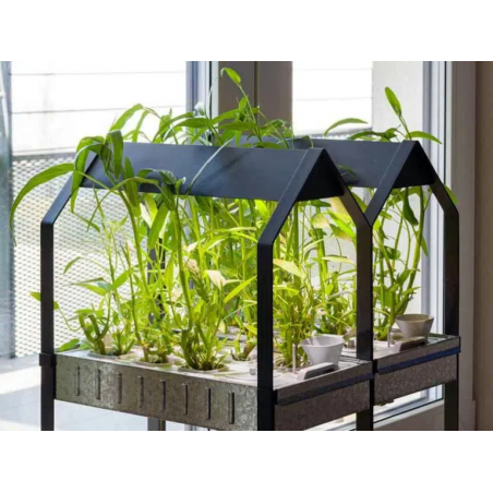 Potager hydroponique intérieur