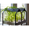 Potager hydroponique intérieur